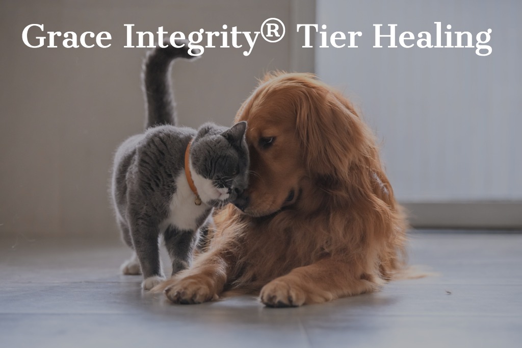 grace integrity tier healing