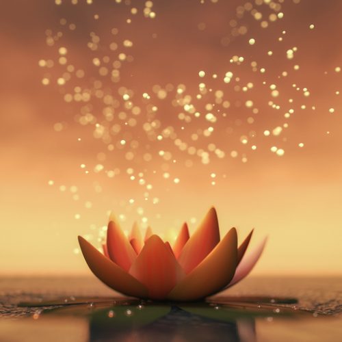 a lotus flower good for relaxation